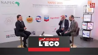 Napec 2025: l'Alg&eacute;rie capitalise son statut de hub &eacute;nerg&eacute;tique