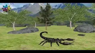 4D விலங்குகள் ஒலிகள் flashcards|4D realistic kids flashcard