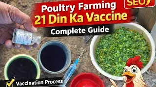 Poultry Farming 21 Din Ka Vaccine &ndash; Complete Guide