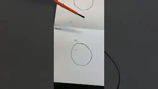 Termite Behavior in Response to Sharpie Ink trail