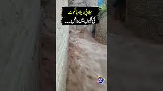 Selabi Rela Sialkot Ki Galiyon Mein Dakhil | #shorts #shortvideo | Lahore Rang