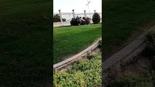 Landscaping Work #landscape #dubai #maintenance #green #flowers #trim #vlog #uae #viral #shorts #wow