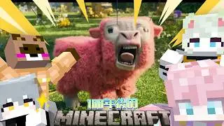 古参確定㊗新グループ結成！！！！
