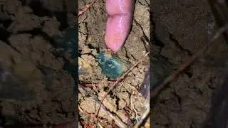 That's a Really Shocking Emerald Discovery! 😮 #Emerald #short  #gemstones #satisfying #nature #gems