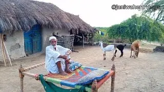 Desert village lifestyle  tharparkar Sindh near India Bader Pakistan #thar #villagelife #village