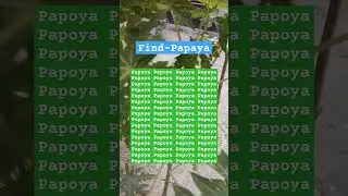 Observation Visual Test: 4 Second For You To Spot #find #puzzle #brainteasers #shorts