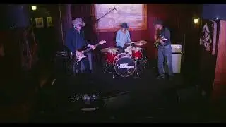 Albert Cummings live at Redwood Bar