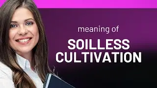 Discover the Wonders of Soilless Cultivation!