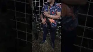 Narcos fiesta de ovidio Guzm&aacute;n L&oacute;pez hijo del chapo