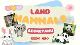 Amazing Land Mammals! Animated Educational Video - Secretahu