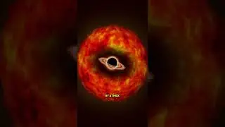 Massive! Astronomers using JWST may have discovered the first black hole star EVER!