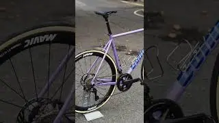 Condor Italia RC LTD  | Staff Build