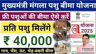 Mukhymantri mangla pshu bima yojna || free pshuo का बीमा ऐसे करवाये ! प्रति पशु मिलेंगे ₹40,000 रुपए