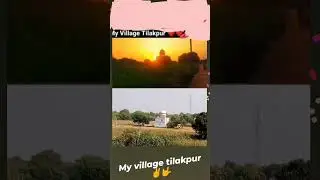 my village Tilakpur #myfirstvlog #viralvideo