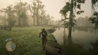 Found some them carolina parakeet only found 3 though #jackdawrdr2 #Rdr2 #Rdr2gameplay