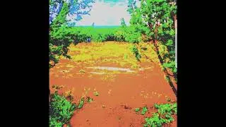 3V3RTRAIL- Lonely Forest (prod. Fearson)