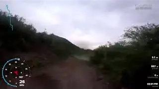 sanfer corto