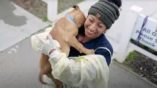 Humane Society Silicon Valley - Regional Rescue
