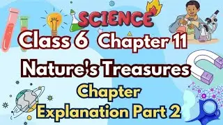 Class 6 Science Chapter 11 | Nature&rsquo;s Treasure Part 2 | Natural Resources Explained | Curiosity cbse