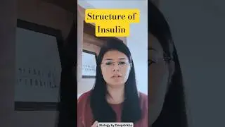 Insulin structure | NCERT Class 12 Biology | CUET UG 2026 #cuet #youtubeshorts