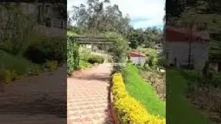 #Short Kodaikanal Rose garden #Short Upper Lake view point #Short video lake boat ride