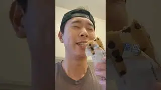 THE PERFECT PROTEIN BAR (REVIEW) #shorts #food #eating