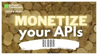Blobr ➤ Manage and monetize a white-label API portal  🔥LIFETIME DEAL🔥