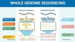 Whole Genome Sequencing; genomic technique focuses on decoding protein coding regions