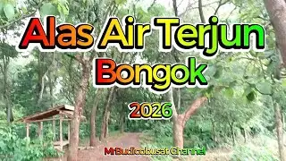Alas & Air Terjun Bongok & Monyet Kerokan Jetak Montong Tuban 2026 #wisata @MrBudicobusat