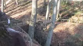 Gendarmstien i Kollund skov del2