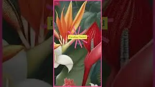 🌸 Flower Day Aesthetic Wallpapers &ndash; Beautiful AI Flower Backgrounds in 4K 🌼