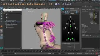 human ik rigging retargeting mocap