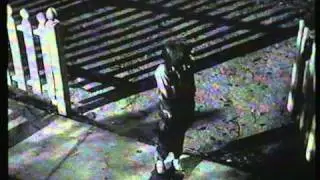 IL BUIO OLTRE LA SIEPE