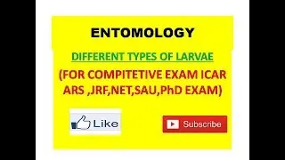 DIFFERENT TYPES  OF  LARVAE