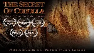 The Secret Of Corolla - Trailer