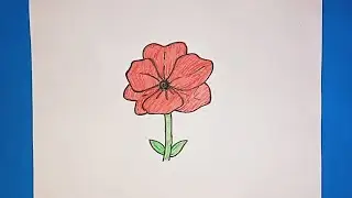 HOW TO DRAW POPPY FLOWER | FLOWER DRAWING | STEP BY STEP TUTORIAL