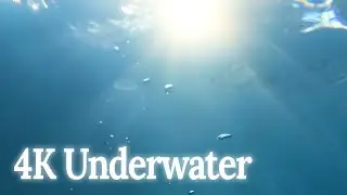 Free Underwater Footage - 4K HD - No Copyright