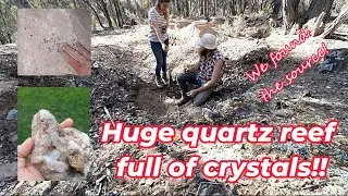 Castlemaine Crystals! We found a huge quartz reef shedding crystals in some old gold workings! 😮💎
