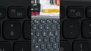 Can Ergonomics Be Elegant? &ndash; Unboxing Natec Porifera #unboxing #keyboard #ergonomics