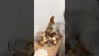 Another thief from the forest. Ещё один вор из леса.