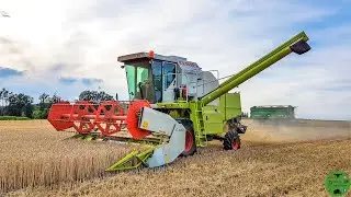 Weizen dreschen 2019 mit Claas Dominator 150 Hydro Drive und Claas C 420 |  Getreideernte 2019