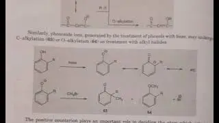 AMBIDENT NUCLEOPHILE