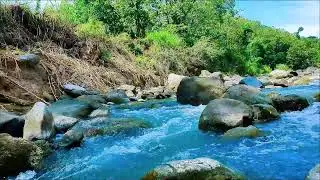 Serene River Sounds | Natural Water Ambience for Calm Mind and Deep Sleep