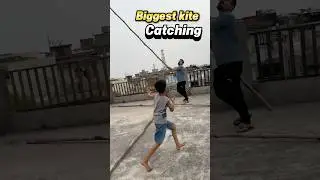 Kite catching #kiteflying #basant #kitecatching #youtubeshorts #shorts #viralshorts #viralvideo