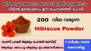 🔥Hibiscus Powder 💯 വീട്ടിൽ ഉണ്ടാകാം ഈസി ആയി 🤩 മുടി തഴച്ചു വളരാനും മുഖം വെളുത്തു തുടുക്കാനും✅💯