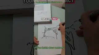 Dr Fox Quick draw anatomy: cranial nerve 1,  The olfactory nerve #anatomy #neuro #cranialnerves