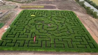 Brookshire Farms' 2025 Sesame Street-themed corn maze