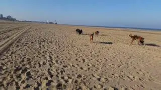 Een strak blauwe hemel