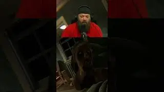 Мне пришлось после этого умыться! 😂 Silent Still II