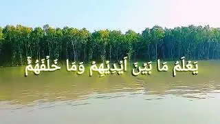 Surah Ayatul kursi || #animals #funnyshorts #viral #quran #funny